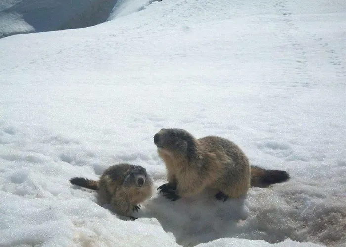 Ouxis Hébergement de vacances *