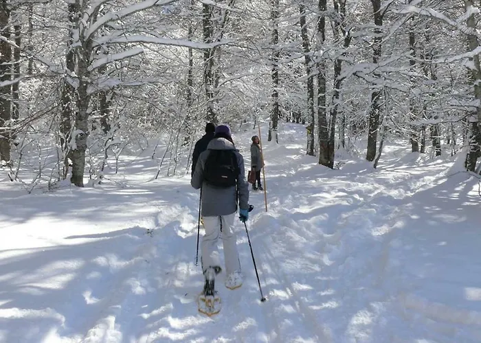 Ouxis Hébergement de vacances